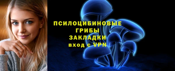 крисы Гусев
