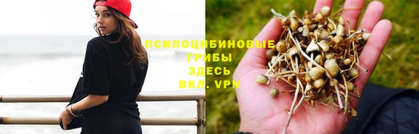 каннабис Гусиноозёрск