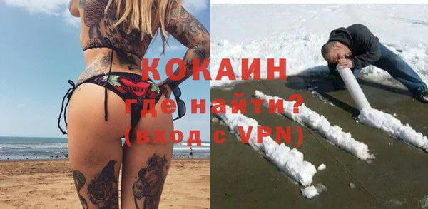 крисы Гусев