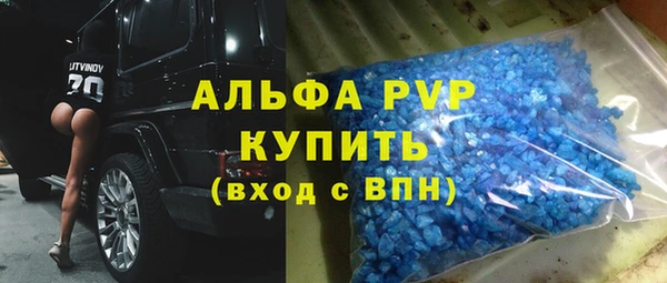 крисы Гусев